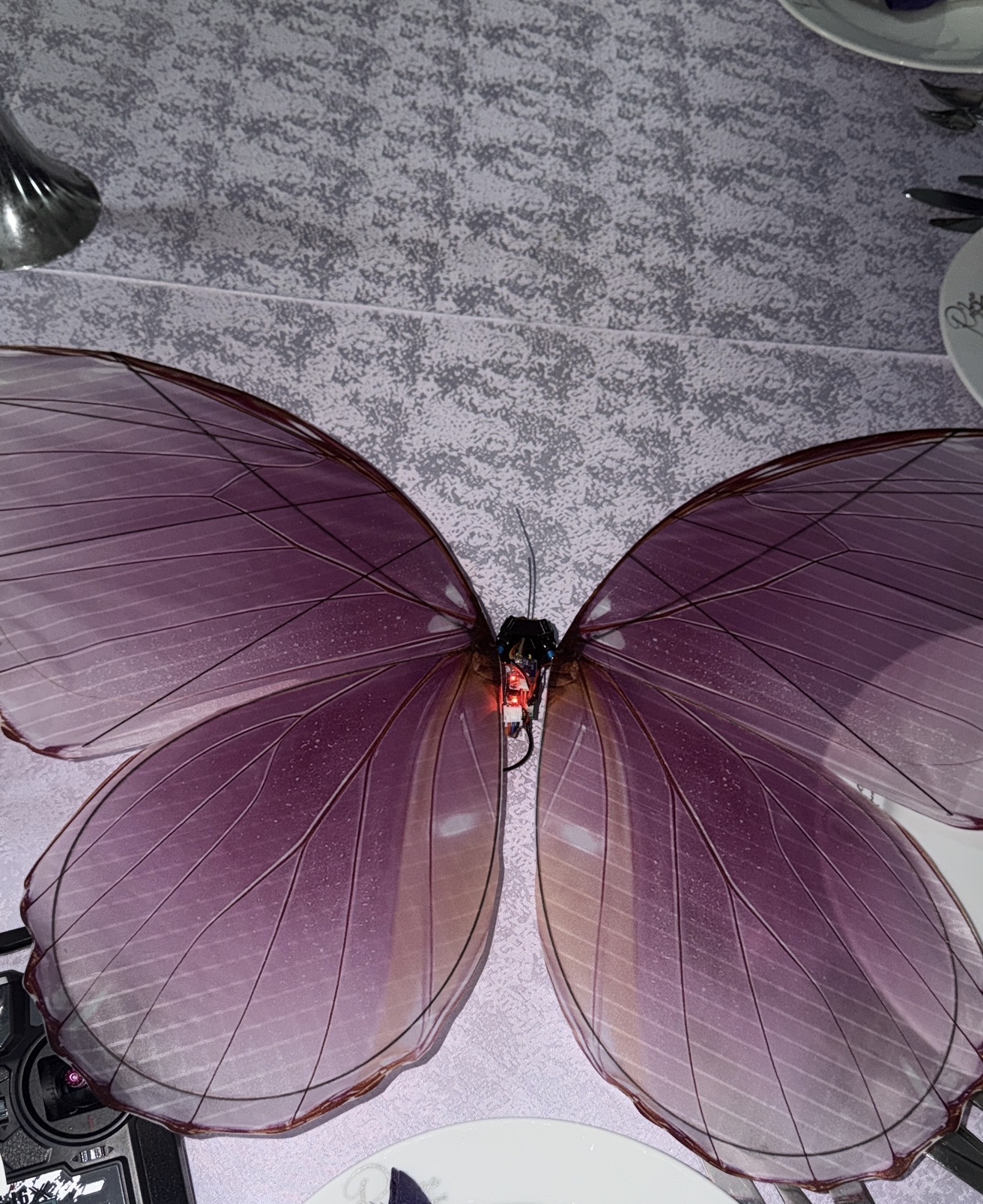 Fluture zburător